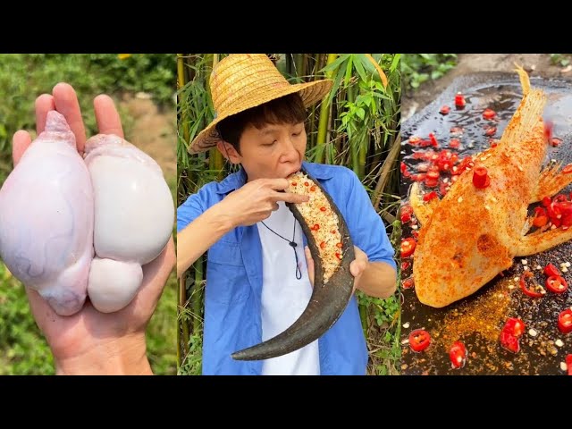 Ginseng fruit will live forever?| Chinese Mountain Forest Life And Food #MoTiktok #Fyp