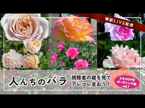 【6/20 21:30〜】みんなで視聴者の庭を見てアレコレ話そう・ガーデニング部バラ部門vol.1【雑談配信】