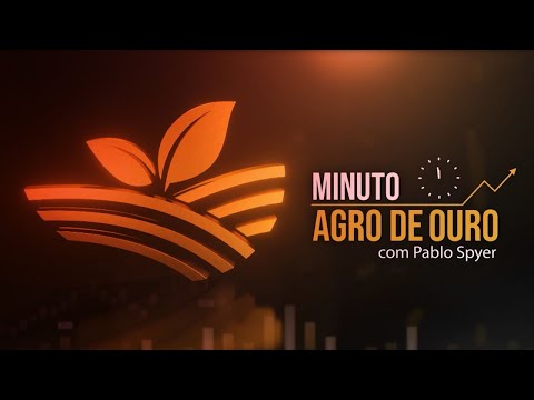 Soja cai, recorde na carne suína, frango para China e novo Fiagro | Minuto Agro de Ouro - 10/08