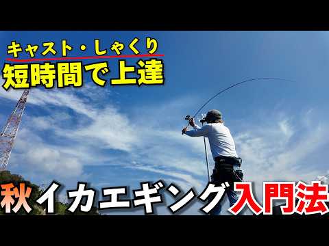 キャスト、しゃくり、アタリが数時間で超上達！プロが教える秋イカエギング入門法！この順番が鉄則