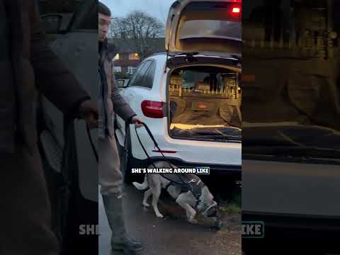 She was at her Breaking Point...