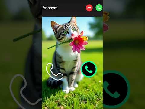 Cute Cat Calling 😮#ringtone #cat #babygirl #gato #youtubeshorts #catlovers #viralvideo #mi #shorts