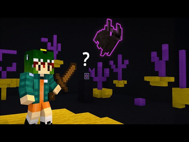 การจบมังกรฉบับเด็กน้อย | MineCraft