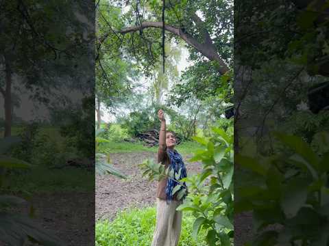 आज गांव के घर की सफाई हो ही गई लेकिन….#minivlog #ashortaday #vlog #villagevlog