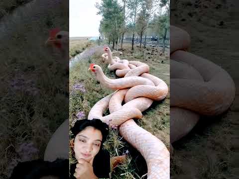 #omg#funny ye kya ho raha hai wow# ♥️♥️