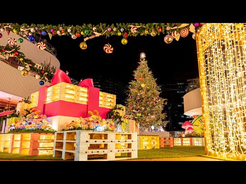 クリスマスワンダーランド2023 Christmas Wonderland｜横浜ベイクォーター公式（BAY QUARTER YOKOHAMA OFFICIAL ）