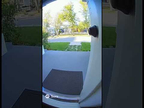 #funny #cats #animals #pets #lol