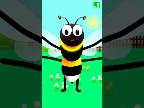 Zakleo se bumbar - Dragan Laković #shorts  | Dečije pesme | Pesme za decu @JaccoledC