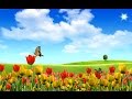 Miniatura video