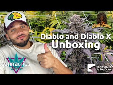 Dusa Farms Diablo & Diablo x Review