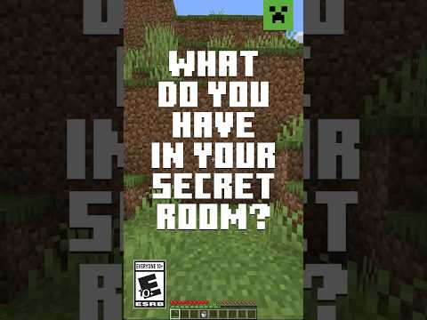 WHAT ARE YOU HIDING IN MINECRAFT?