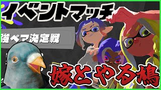 嫁と二人で最強ペア決定戦で最強になる鳩【Vtuber】【スプラ3】【スプラトゥーン3】