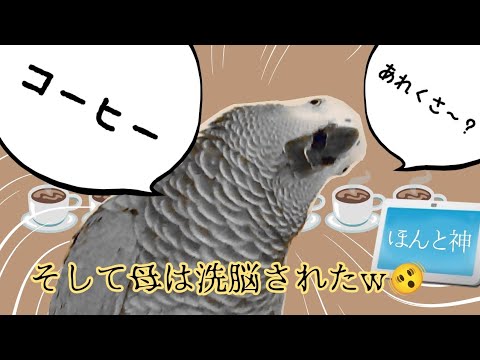 禁断のあれが気になって仕方なく、アレクサも巻き込んだ大騒動に…