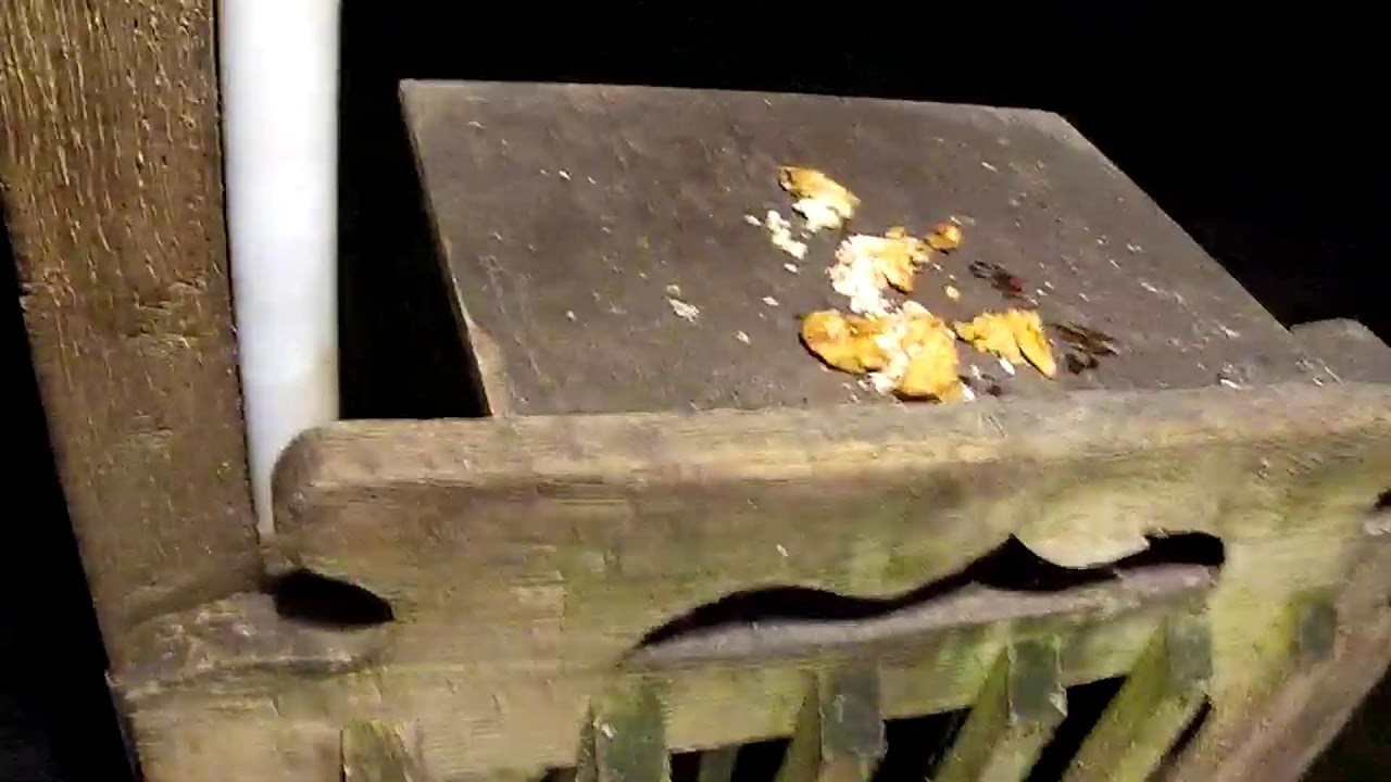 Monday 8th September 2025