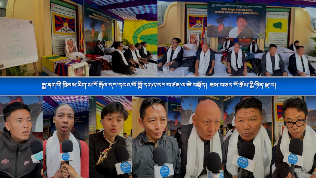 རྒྱ་ནག་གི་ཁྲིམས་ཡིག་ལ་ངོ་རྒོལ་དང་དཔའ་བོ་བློ་དགའ་རང་བཙན་ལ་ཆེ་བསྟོད། ཟས་བཅད་ངོ་རྒོལ་གྱི་ཉིན་ལྔ་པ།