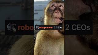 She should NOT have said that...