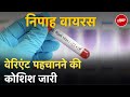 Nipah Virus | निपाह का खतरा : Australia से मंगाई गई Vaccine | Nipah Virus In India