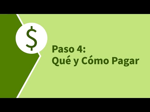 Paso 4: Qué y Cómo Pagar