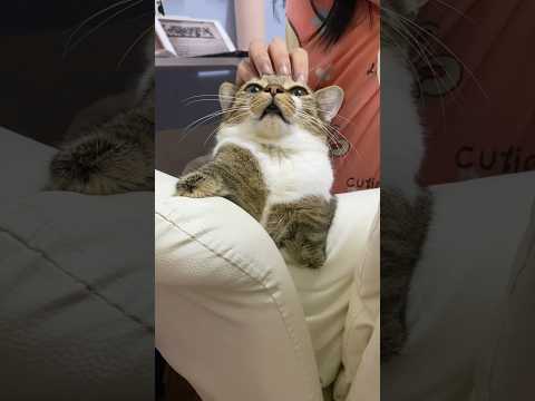 Tutuの小さな手に触れる温かい瞬間 サムネイル