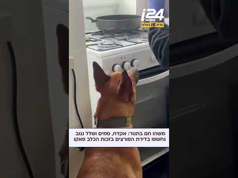 האף של * המשטרה פאקו לא טועה - אקדח וסמים נחשפו בתוך תנור אפייה