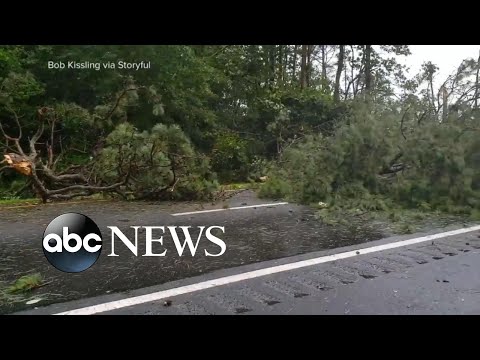 3 million left in the dark after storm hits Northeast | WNT