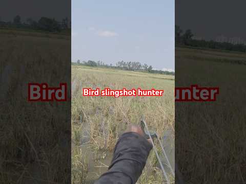 Hạ chú cò, tinh mắt lắm bạn mới thấy được đó. #tuấnhayđi #fishing #nácaosu