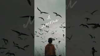 Гори ярко, не сбавляй газа…