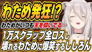 【ホロライブ切り抜き/獅白ぼたん】ギャンブルでまつりちゃんの1万スクラップを全ロスし叫ぶわためぇに爆笑するししろん【角巻わため/夏色まつり/