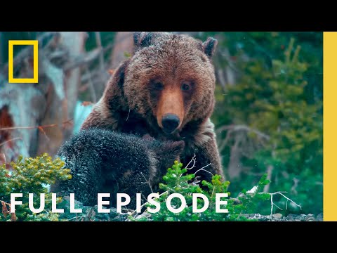 Surviving Grand Teton: America’s National Parks (Full Episode) | Wild West Wonders