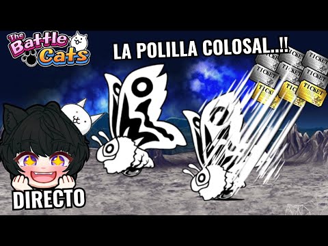 猫の動画サムネイル - DERROTANDO A LA POLILLA COLOSAL - DIRECTO