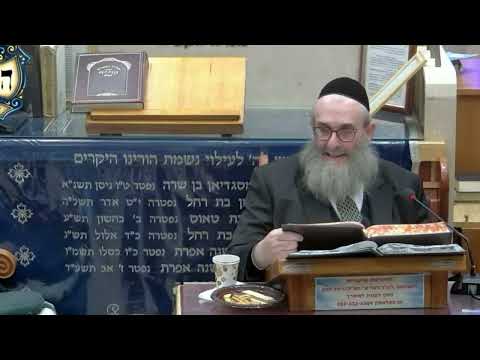 הרב יהושע ויזגן מסכת חולין דף פ עמוד ב'