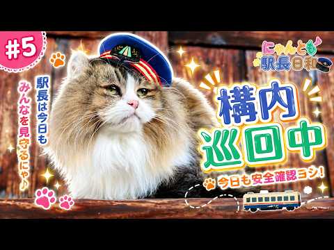 #5 「構内巡回中♪」にゃんとも♪驛長日和