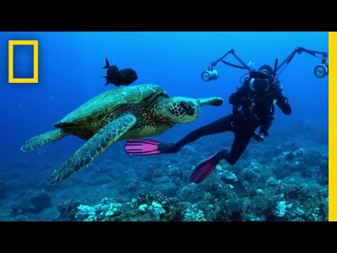 Sea of Hope: America's Underwater Treasures'