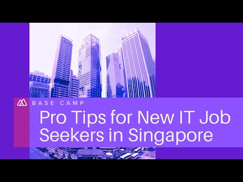  Pro Tips for New IT Job Seekers in Singapore - Base Camp IT Recruitment Agency 