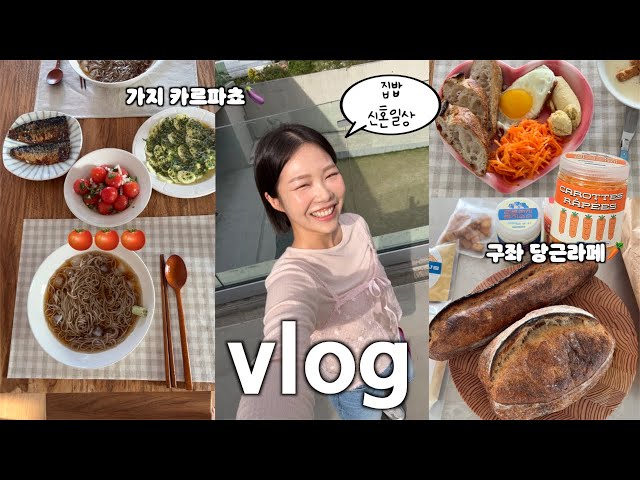 VLOG:: 여름 요리 일상 | 다음 여행지? 구좌 당근라페 브런치와 가지 카르파쵸🍆해성막창,계곡 오리고기