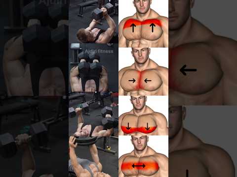 Top 4 Chest Exrcises Build a Bigger Chest #chest
