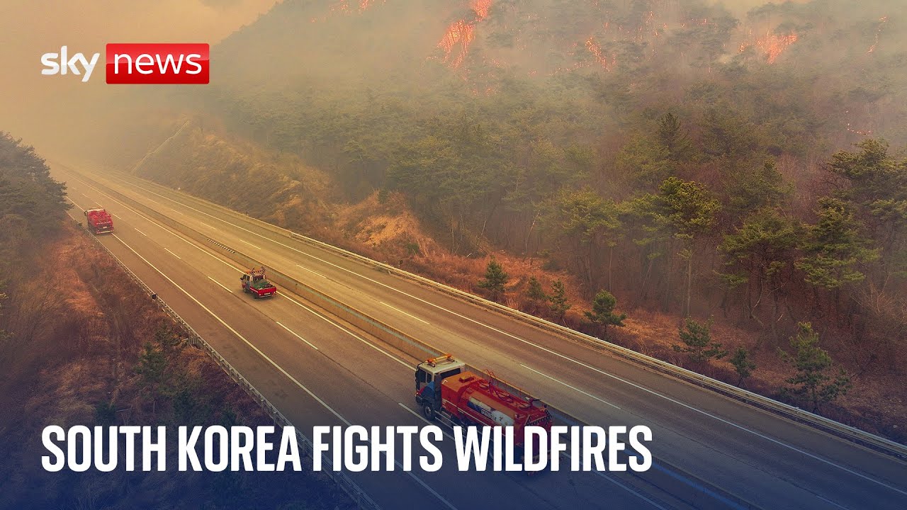 Aftermath of wildfires in South Korea