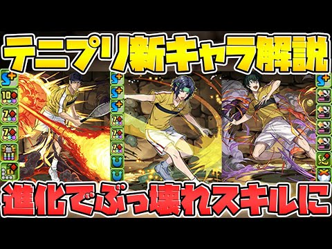 【先行公開】進化スキルが強すぎる件！テニプリ新キャラ解説！幸村精市,真田弦一郎,柳蓮二,切原赤也【パズドラ】