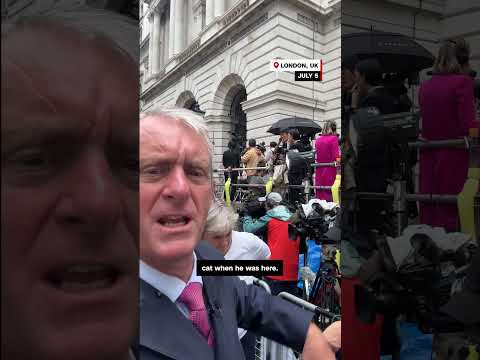 Cat greets media after UK election