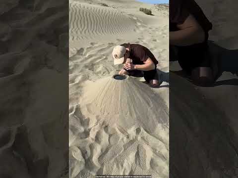 ⚡⚡భూమి నుండి Oil బయటికి ఇస్తుంది |⚡Interesting Facts