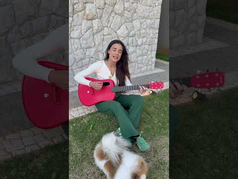 Palavras e Palavras 🩷