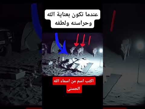 قران كريم #اكسبلور #القرآن #لايك #القرآن_الكريم #subscribe #shorts #short #quran #sleep #duet #فولو