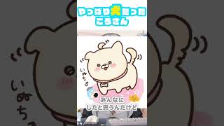やっぱり犬だったころさん【ホロライブ切り抜き】  #白銀ノエル #戌神ころね #shorts