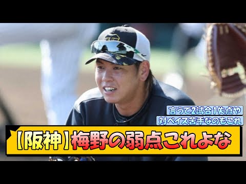 【阪神】梅野の弱点これよな【なんJ/2ch/5ch/ネット 反応 まとめ/阪神タイガース/岡田監督】