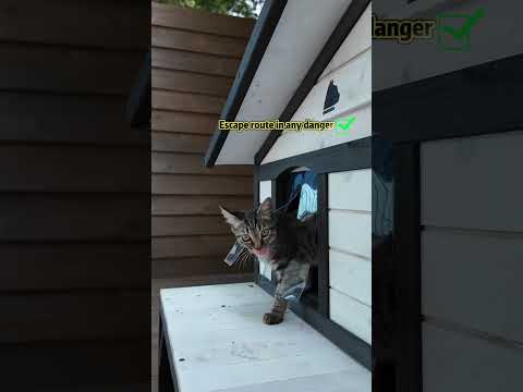 Aivituvin Outdoor Feral cat house