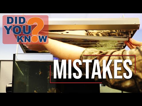 Avoid These 20 Reef Tank Lighting Pitfalls! Don't make these 20 saltwater aquarium lighting mistakes! Today, join up with Ryan and Matthew as th