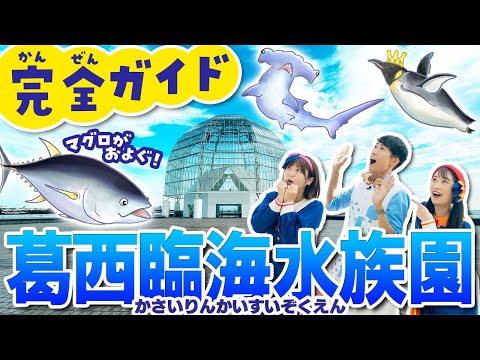 葛西臨海水族園の魅力を全紹介｜見どころと楽しみ方ガイド サムネイル