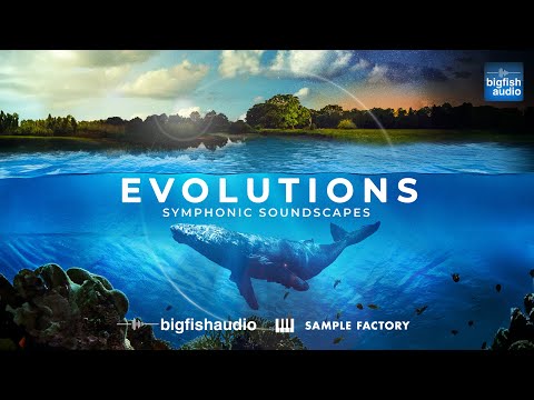 Evolutions: Symphonic Soundscapes | Demo Track