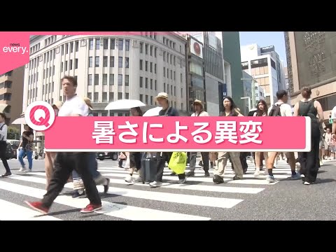経済金融の動画サムネイル - 【きょうの1日】東京都心2日連続で猛暑日  「暑さによる身の周りの異変は？」
