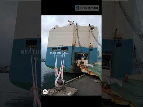 名古屋港水族館からのカメの回遊調査と放流詳細 サムネイル